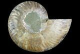 Agatized Ammonite Fossil (Half) - Madagascar #125057-1
